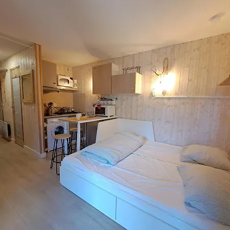 Cosy 3 Pers, Animaux Ok, Parking - Les Deux Alpes